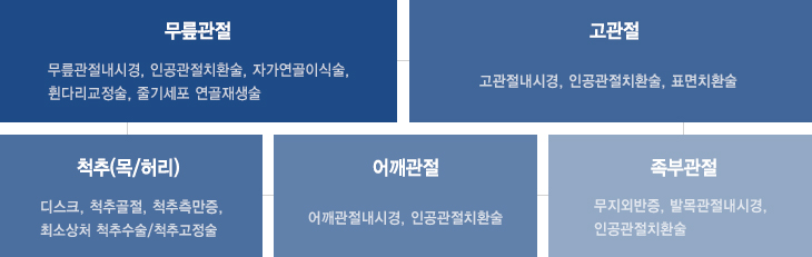 무릎관절-무릎관절내시경,인공관절치환술,자가연골이식술,휜다리교정술,줄기세포 연골재생술. 고관절-고관절내시경,인공관절치환술,표면치환술. 척추(목.허리)-디스크,척추골절,척추측만증,최소상처 척추수술.척추고정술. 어꺠관절-어꺠관절내시경,인공관절치환술. 족부관절-무지외반증,발목관절내시경,인공관절치환술