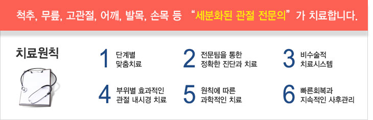 척추,무릎,고관절,어깨,발목,손목 등 세분화된 관절 전문의가 치료합니다. 치료원칙-1.단계별맞춤치료 2.전문팀을 통한 정확한 진단과 치료 3.비수술적 치료시스템 4.부위별 효과적인 관절 내시경 치료 5.원칙에 따른 과학적인 치료 6.빠른회복과 지속적인 사후관리
